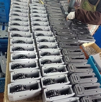 Transportador de Palets de Aluminio de Doble Velocidad con Banda de Acero Inoxidable, Velocidad Ajustable Ascendente y Descendente, Línea de Ensamblaje en Bucle