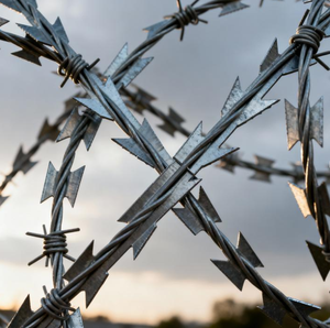 높은 인장 뜨거운 담근 아연 도금 스테인레스 스틸 크로스 면도기 가시 와이어 2.0mm 200m/200m/300m/360m 보안 울타리 - Product Image 2