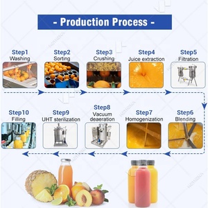 Usine de production de jus de fruits, petite ligne de traitement de jus de fruits naturels, prix compétitif, à vendre - Product Image 5