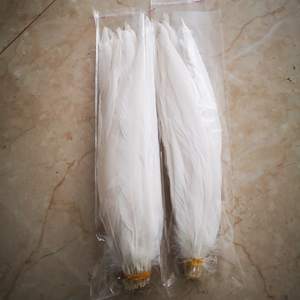 Pluma <span class=keywords><strong>de</strong></span> cola <span class=keywords><strong>de</strong></span> gallo <span class=keywords><strong>blanca</strong></span> blanqueada natural barata al por mayor <span class=keywords><strong>de</strong></span> BOHO para la decoración del vestido del carnaval - Product Image 4