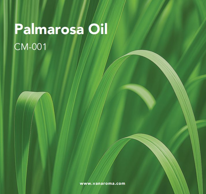 สีเหลืองอ่อนถึงสีเขียวมะกอกอ่อน