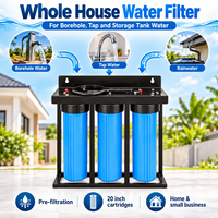 Système de filtration d'eau Big Blue avec cartouche remplaçable pour la purification de l'eau de puits et des eaux souterraines de toute la maison