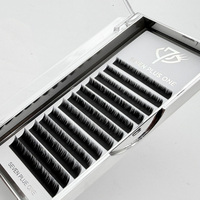 Extensions de cils en plateaux à volume naturel, doux et moelleux, courbures J, B, C, CC, D, 8-25mm, marque privée, vente en gros