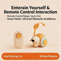 Jouet interactif pour animaux de compagnie, balle télécommandée classique à LED rechargeable, écologique, best-seller, pour chiens et chats