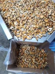 Venta al por mayor caliente IQF congelado hervido mejillón carne cocida mariscos del proveedor de China - Product Image 5