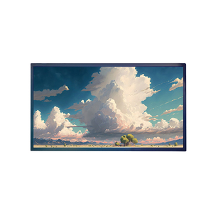 <span class=keywords><strong>21</strong></span>.<span class=keywords><strong>5</strong></span> inch 1920*1080 IPS <span class=keywords><strong>TFT</strong></span> <span class=keywords><strong>LCD</strong></span> hiển thị với LVDS giao diện - Product Image 3