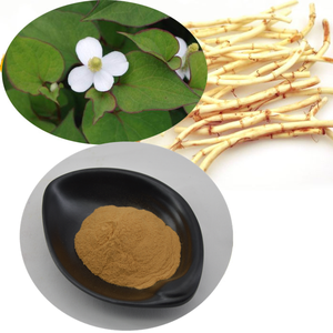 <span class=keywords><strong>Heartleaf</strong></span> <span class=keywords><strong>Houttuynia</strong></span> जड़ी बूटी निकालने शुद्ध <span class=keywords><strong>Houttuynia</strong></span> Cordata पत्ता पाउडर कैप्सूल के लिए - Product Image 6