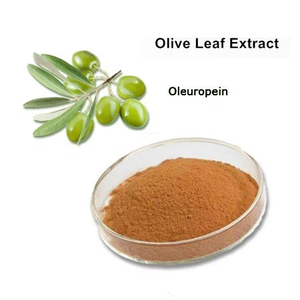Fabrikverkauf: Lebensmittelqualität Oleuropein-Pulver 32619-42-4 Olivenblattextrakt in Großgebinden für Nahrungsergänzungsmittel, Kapseln und Tabletten - Product Image 2