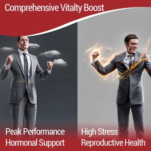 Hochwertiges OEM Maca-Wurzel-Ginseng-Extrakt Kräuterergänzungsmittel für Männer-Energie & Hormonunterstützung 30 Tabletten/Box - Product Image 4