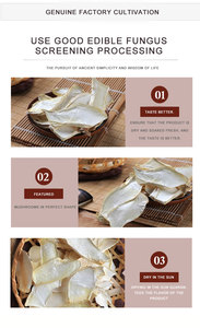 Setas de Oya king chinas, setas secas, los más nutritivos, seta fresca - Product Image 5