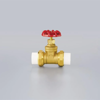 Commercio all'ingrosso in ottone manuale a induzione magnetica valvola a saracinesca gestione del contatore dell'acqua con espansione/contrazione Base anteriore per Media