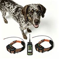 Collier intelligent pour chien avec GPS/GSM, suivi de santé intégré (surveillance des paramètres vitaux, posture, aboiement) + géolocalisation et entraînement par stimulation à 10 niveaux