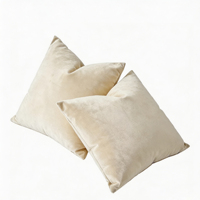 Housse de coussin en velours doux de luxe, design texturé moderne, housses de coussin décoratives de haute qualité pour canapé, lit, maison