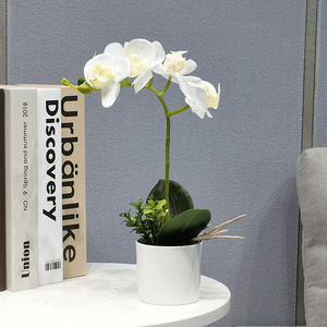 Fiori Artificiali 3D Realistici e Bellissimi, <span class=keywords><strong>Orchidee</strong></span> Farfalla Bianche in Vaso <span class=keywords><strong>per</strong></span> San Valentino, Pasqua, Casa e Ristorante - Product Image 6