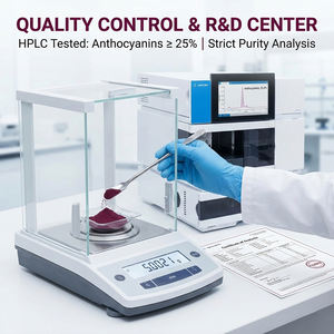 สารสกัดจากเปลือกองุ่นสมุนไพรธรรมชาติ  โอพีซี/เรสเวอราทรอล  ปริมาณสูง ป้องกันรังสียูวี  เกรดอาหาร  ผงสารต้านอนุมูลอิสระ  ละลายน้ำได้ - Product Image 2