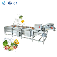 Machine de nettoyage à bulles ultrasoniques pour fruits et légumes frais commerciaux, machine à laver les fruits et légumes, nettoyage des légumes