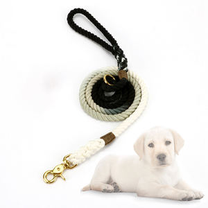 Collier en coton personnalisé, robuste, confortable, pour chien, disponible dans plusieurs couleurs, vente en gros, laisse pour animaux de compagnie - Product Image 1