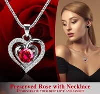 Collier éternel Boîte à bijoux Lumières LED pour la Saint-Valentin Fête des mères Pâques Noël Graduation Roses conservées Éternelles