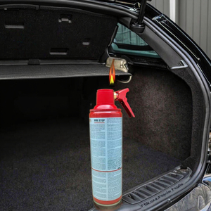 Estintore portatile per apparecchiature antincendio - Product Image 3