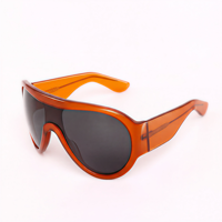 LBA S1601 Lunettes de soleil tendance de haute qualité, monture surdimensionnée en acétate, logo personnalisé, verres polarisés, pour hommes et femmes