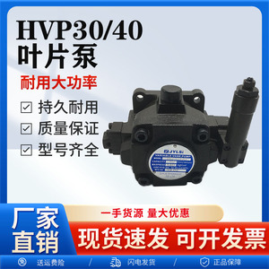 ปั๊มเวน HVP30 FA3 350 บาร์ 1 สเตจ แบบปรับได้ สำหรับเครื่องฉีดพลาสติกไฮดรอลิกอุตสาหกรรม - Product Image 4