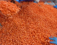 Carottes surgelées certifiées HACCP de qualité supérieure, couleur naturelle, biologiques, coupées en dés, emballage en vrac -18 mois, 2 ans