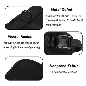 Hot Selling Factory Großhandel Custom Logo PVC Hunde halsband und Leine Geschirr Set Weiche PVC Jagd Hunde halsband Wasserdichte Leine - Product Image 5