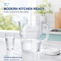 Nouveau Filtre à Eau en Carbone Actif en Plastique 2026 pour Pichets et Filtres à Carafe – Remplacement pour Usage Domestique