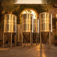 Cuve de Fermentation de Bière Tonsen 6000L, Fermenteur Conique à Double Enveloppe en Acier Inoxydable SUS304 60HL pour Brasserie Commerciale