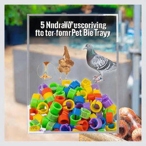 Openbare gekleurde vogelring 8mm plastic identificatieringen voor postduiven kleurrijke openbare vogelbenodigdheden - Product Image 3