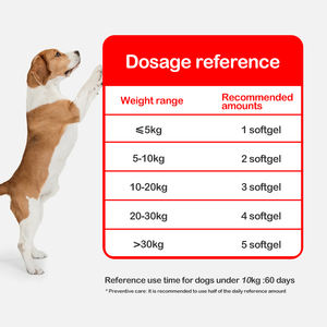 Échantillon gratuit OEM de gouttes liquides pour les hanches et les articulations pour chiens Dog <span class=keywords><strong>Company</strong></span> Supplément de glucosamine liquide extra fort pour le soutien des articulations - Product Image 3