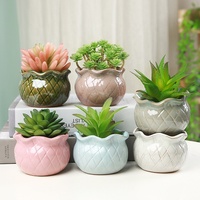 Nouvelle jardinière en céramique artisanale de 7 pouces, design ondulé vintage, détails floraux, pour plantes succulentes, pot pour plantes grasses, pour le jardin
