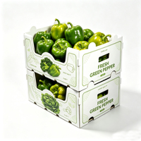 Boîte en plastique PP imperméable personnalisée, boîte creuse pour le stockage des fruits (pommes, noix de coco), emballage pour légumes, boîte en plastique
