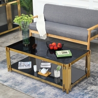 Table basse moderne de luxe en acier inoxydable avec plateau en verre noir nordique, meubles de salon, tables basses dorées