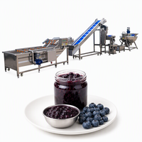 Turnkey-oplossing voor fruitjam- en pasta-verwerkingsfabriek, productielijn voor bosbessen- en aardbeienjam