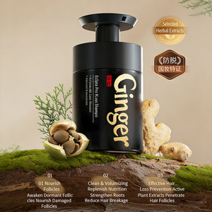 Shampooing Traitant Capillaire Hydratant au Gingembre et à l'Huile d'Argan Naturelle, Anti-Chute, Marque Blanche, Meilleur Produit OEM - Product Image 4