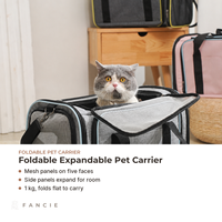 Sac de transport pliable pour animaux de compagnie Oxford, respirant, à cinq côtés en maille, pour chats et petits chiens, vente en gros, OEM ODM