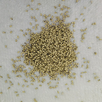 Maßgefertigte 3,5*3,0*6,0 MM Microlink-Perlen 1000 Stück Silikonfreie Kupfer-Verschlüsse Micro-Link-Ring-Haarverlängerungswerkzeuge Kommerziell