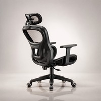 Chaise de bureau exécutive moderne réglable en maille avec accoudoirs 4D, ergonomique, confortable, pivotante, avec pieds en acier inoxydable à 5 branches