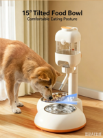 Mangeoire surélevée réglable pour animaux de compagnie, double bol en acier inoxydable, distributeur d'eau automatique anti-déversement pour chiens, usage intérieur