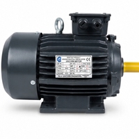 Motor Listrik Industri Tugas Berat 1.5 HP 1500-1700 RPM TEFC Tiga Fasa Efisiensi IE3 Pemasangan Flens 380-440V Motor Bertenaga Tinggi