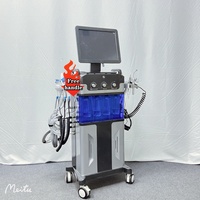 14in1 Hydra Spa Facial Machine Hydrafacy Machine Poignée Conseils H2O2 Hydro Oxygen Jet Peel Visage Nettoyage Brosse Dispositif
