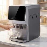 Fabrieks Prijs Desktop Waterzuiveraar Waterdispenser Met Hete en Koude Automatische RO Waterdispenser voor Thuisgebruik