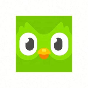 Cuenta Premium Duolingo Pro 1 Año, Activa Tu Propia Cuenta, Aplicable Globalmente en Todo el Mundo - Product Image 3