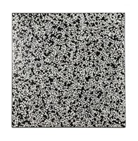 Carrelage extérieur Huanai en porcelaine mate, épaisseur 18 mm, aspect galet de jardin, 600x600 mm, pour cour rurale, terrasse et bassin à poissons