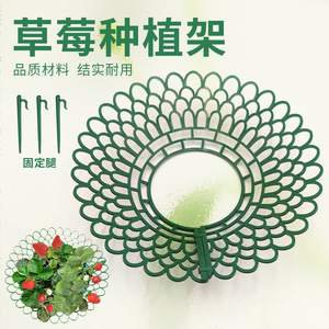 Soporte Redondo para Plantas, Estante para Fresas, Plástico, para Balcón y Jardín, Bandeja de Soporte Duradera, Grande y Pequeña, Verde y Blanco - Product Image 3