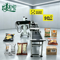 Machine de marquage laser personnalisée ASL BELGISI avec pagination automatique pour l'emballage de snacks et l'emballage souple de snacks