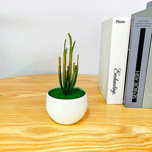 Planta Suculenta Artificial Qi Xing en Maceta de 19 cm, PVC Suave, Decoración para el Hogar - Product Image 1