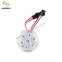 36mm RVB SM16703 du fabricant Source de lumière LED d'intérieur Corps en PC Lumières de Noël permanentes pour le paysage