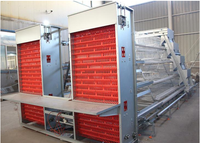 Vente flash : Équipement d'élevage avicole automatique de type batterie pour poulets pondeuses, capacité 10 000 poulets par cage